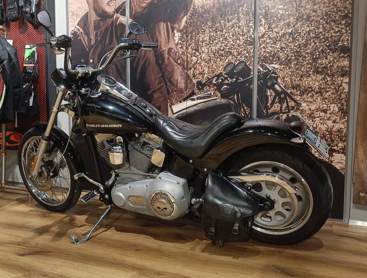 Harley-Davidson 1450 Standard (2002 - 05) - FXSTI (4)