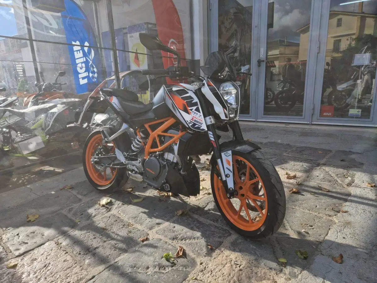 KTM 390 Duke ABS (2012 - 16) (6)