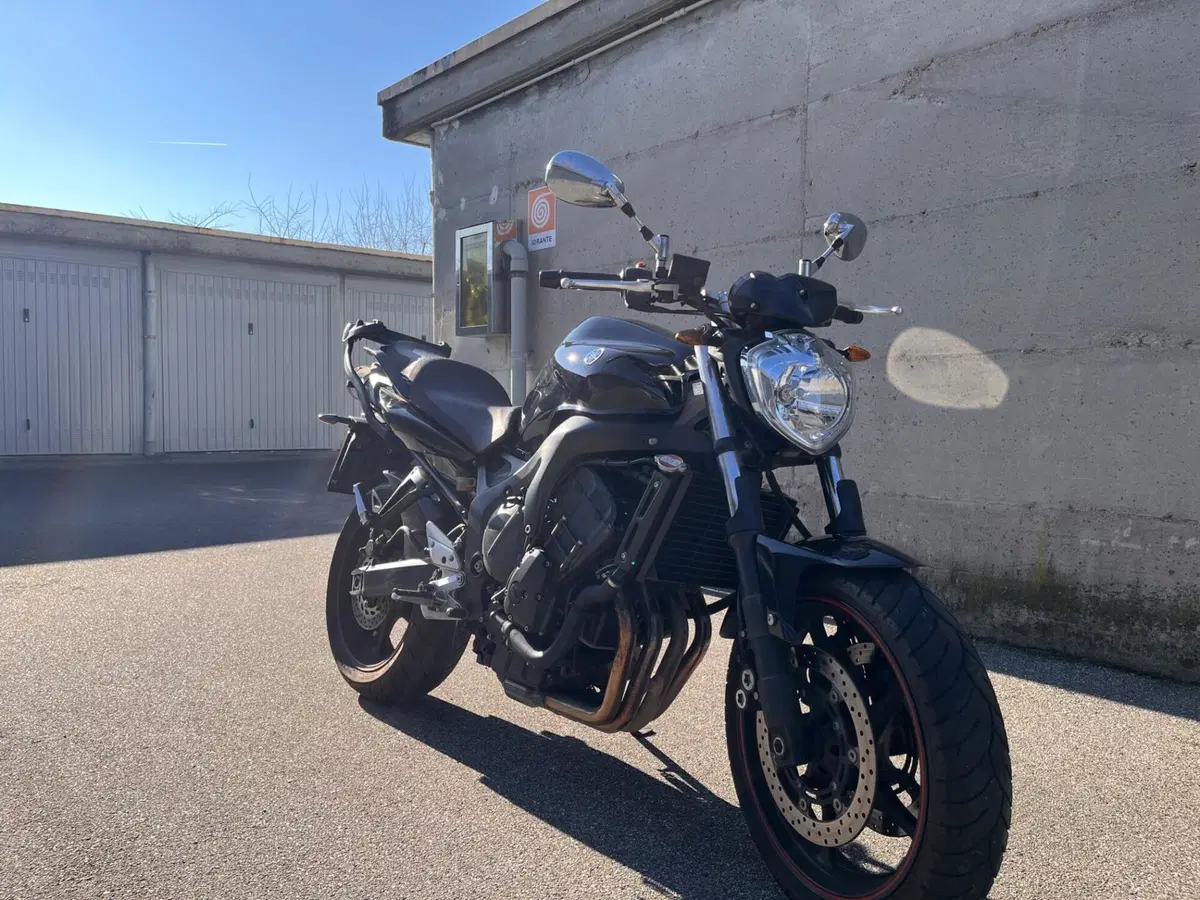 Yamaha FZ6 S2 (2007 - 11) (4)