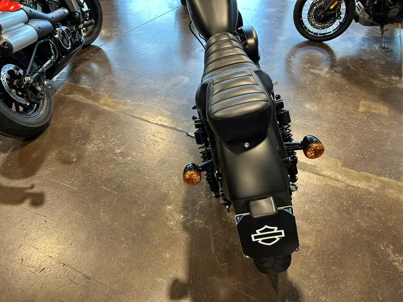 Harley-Davidson 883 Iron (2014 - 16) - XL 883N (2)
