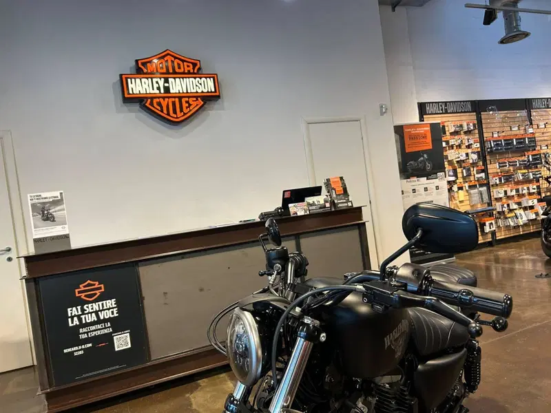 Harley-Davidson 883 Iron (2014 - 16) - XL 883N (3)