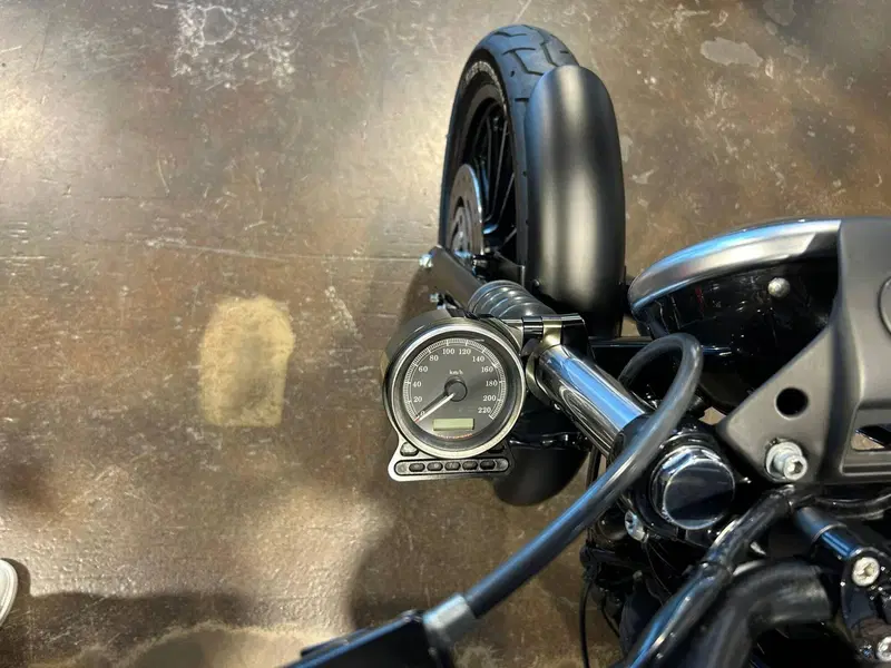 Harley-Davidson 883 Iron (2014 - 16) - XL 883N (5)