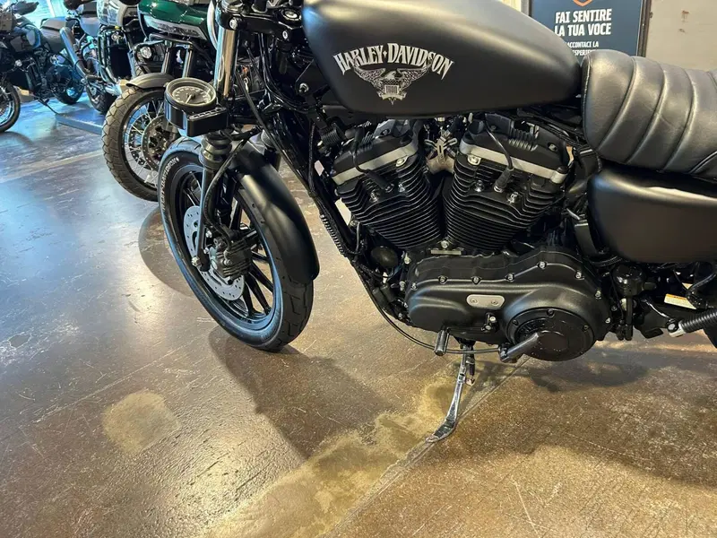Harley-Davidson 883 Iron (2014 - 16) - XL 883N (7)