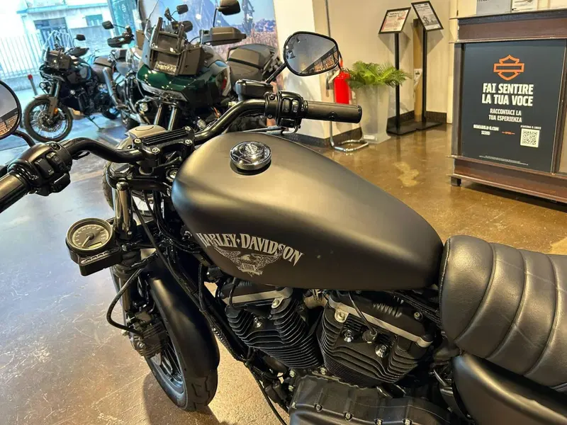 Harley-Davidson 883 Iron (2014 - 16) - XL 883N (8)