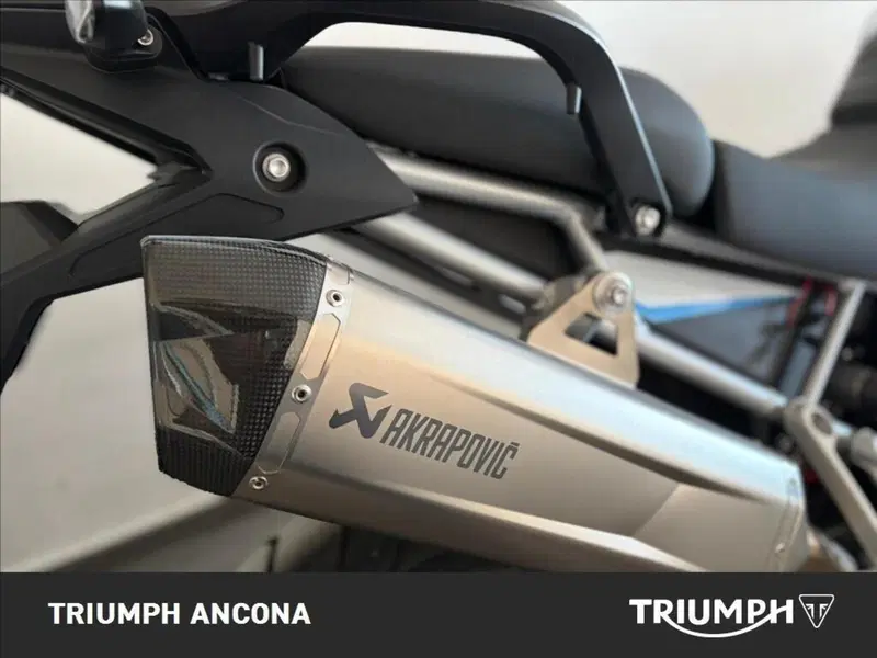 Triumph Tiger 900 Alpine Special Edition (2026) (2)