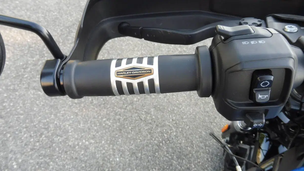 Harley-Davidson Nightster (2023 - 26) (12)