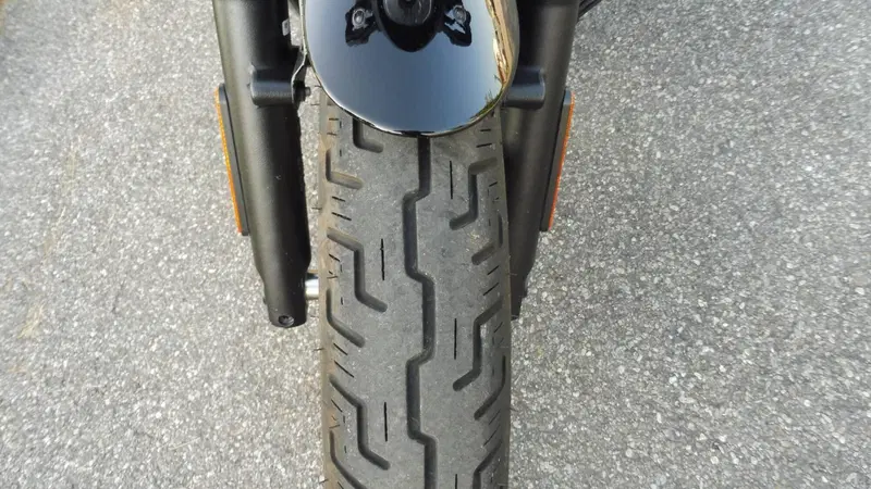 Harley-Davidson Nightster (2023 - 26) (15)
