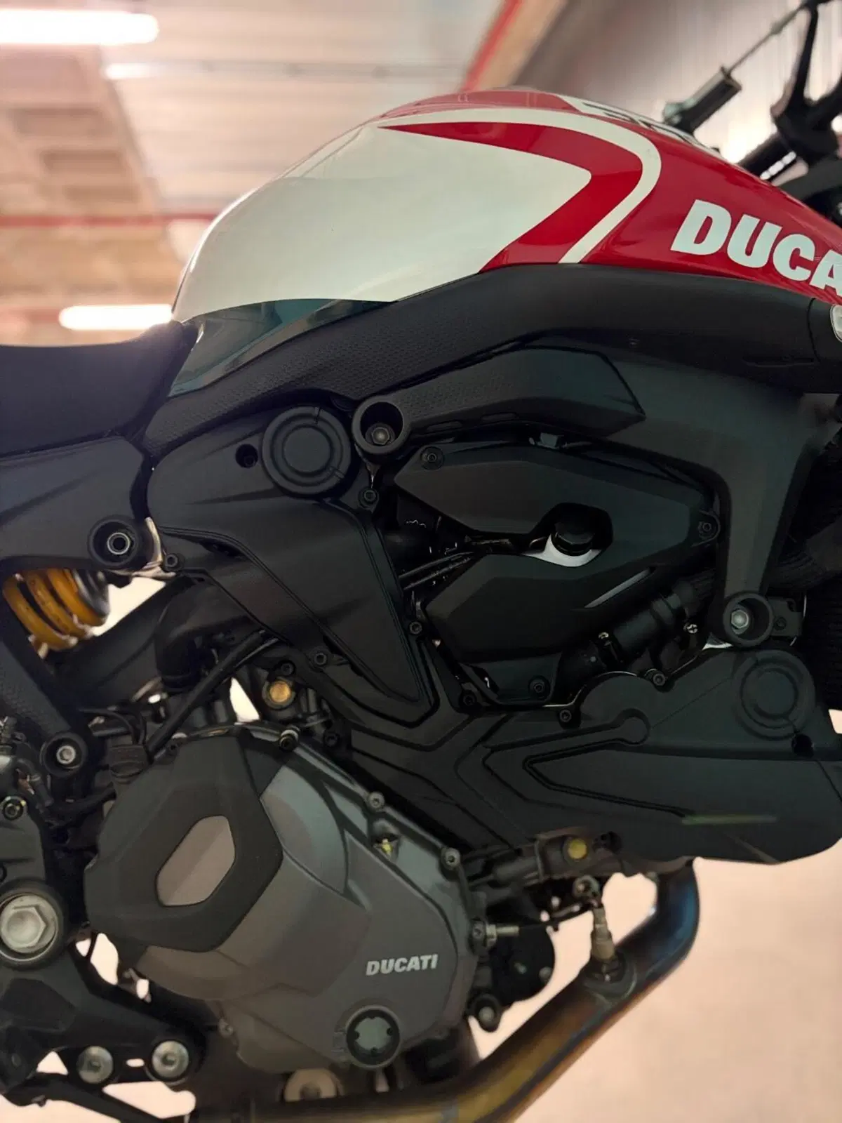 Ducati Monster 937 30° Anniversario (2023 - 24) (8)