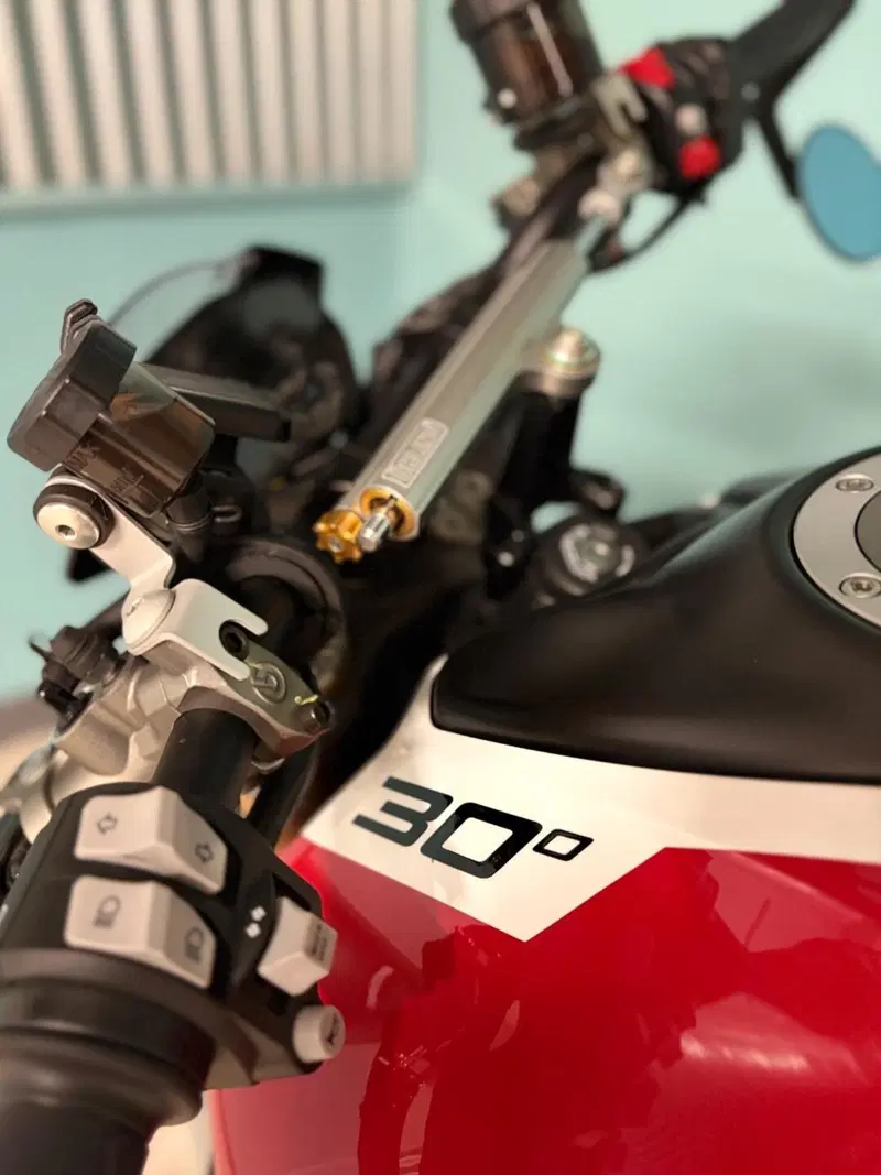 Ducati Monster 937 30° Anniversario (2023 - 24) (11)