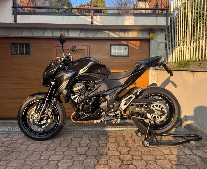 Kawasaki Z 800 Sugomi Edition ABS (2016) (2)