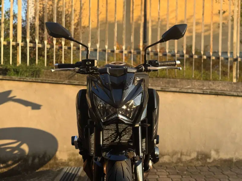 Kawasaki Z 800 Sugomi Edition ABS (2016) (4)