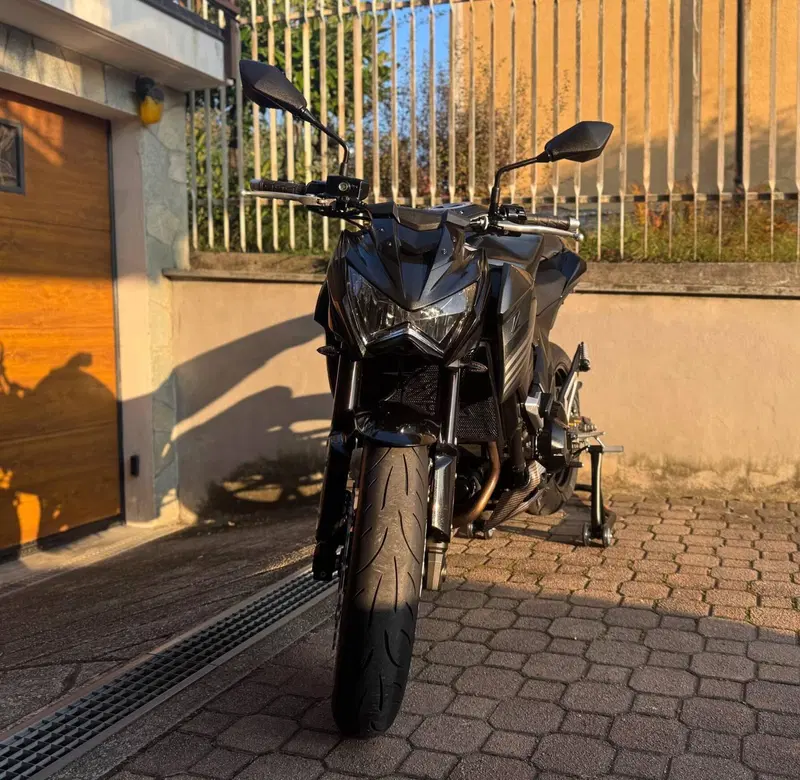 Kawasaki Z 800 Sugomi Edition ABS (2016) (15)
