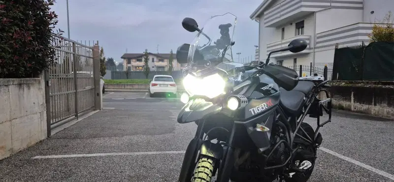 Triumph Tiger 800 XC (2015 - 17) (11)