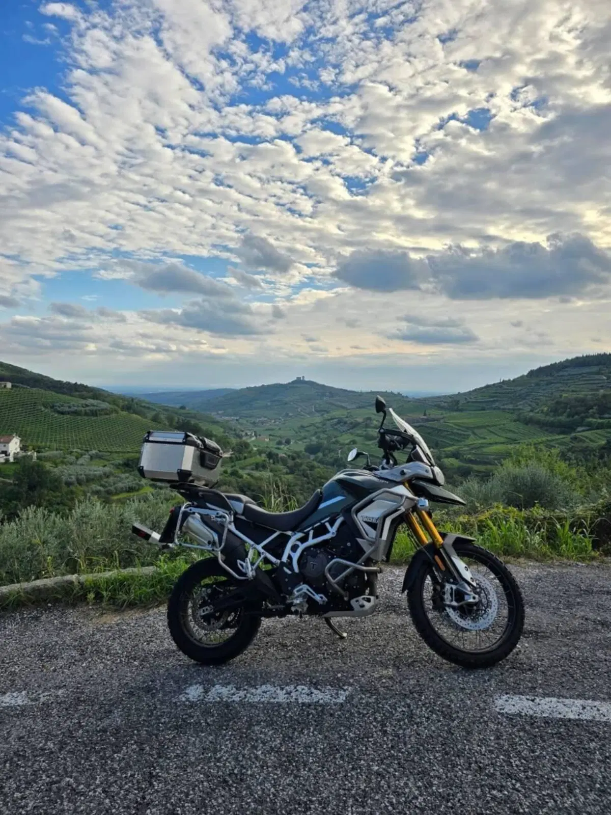 Triumph Tiger 900 Rally Pro (2020 - 23) (3)