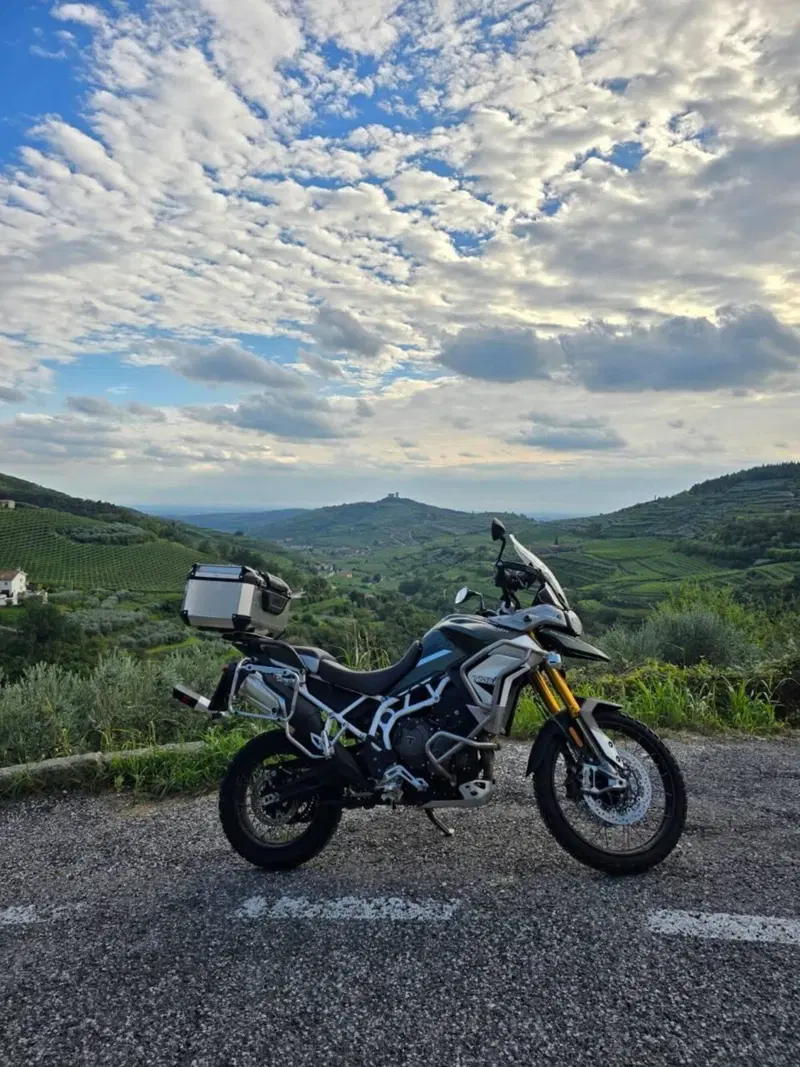 Triumph Tiger 900 Rally Pro (2020 - 23) (3)