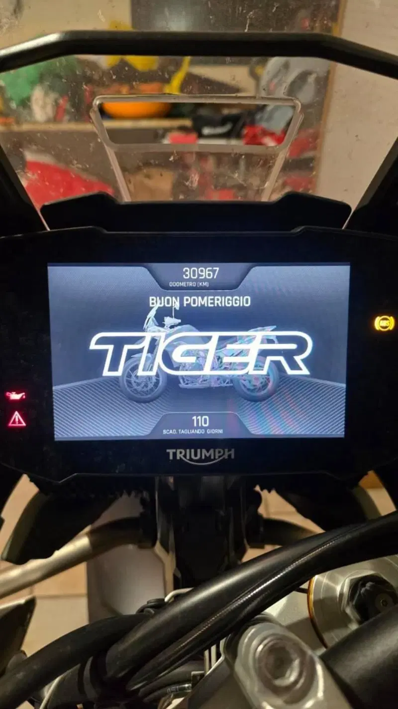 Triumph Tiger 900 Rally Pro (2020 - 23) (4)