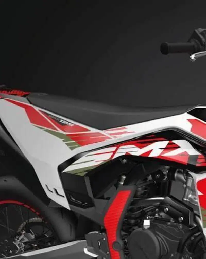 FB Mondial SMX 300 Enduro (2025 - 26) (4)
