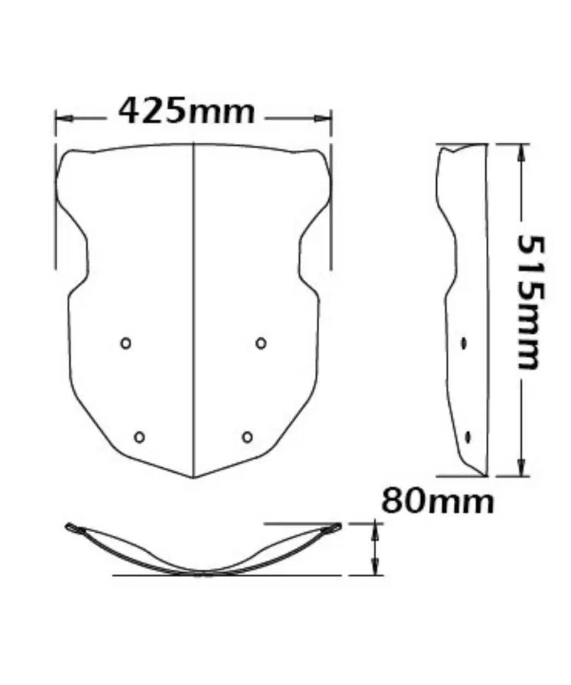 Parabrezza Isotta BMW 1200 gs (3)