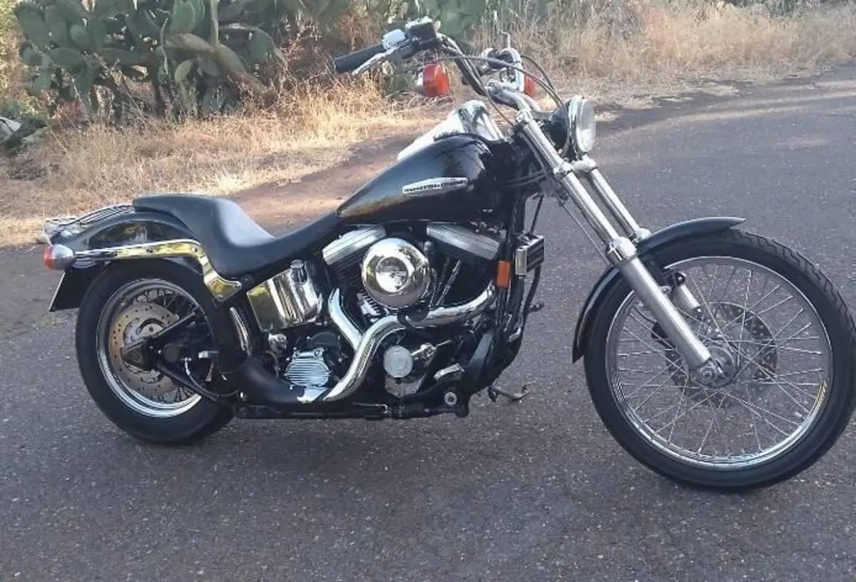 Harley-Davidson 1340 Custom (1989 - 98)