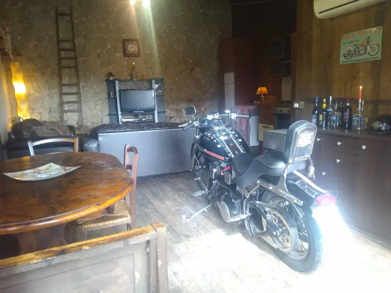 Harley-Davidson 1340 Custom (1989 - 98) (2)