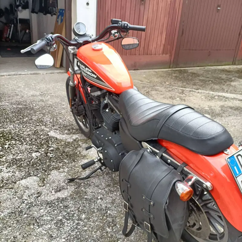 Harley-Davidson 883 R (2008 - 16) - XL 883R (5)