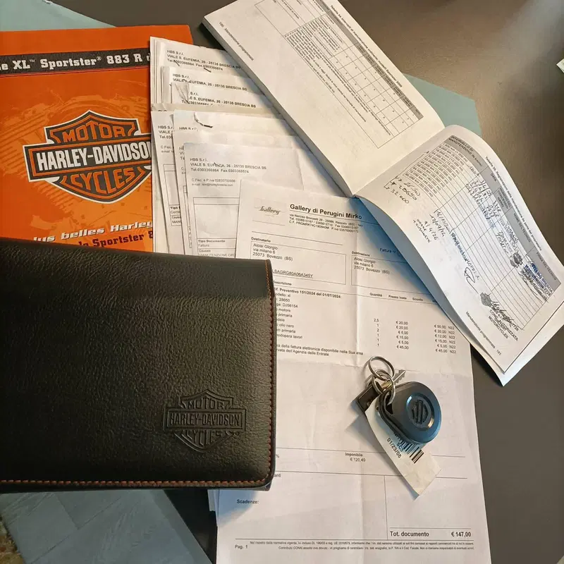 Harley-Davidson 883 R (2008 - 16) - XL 883R (10)