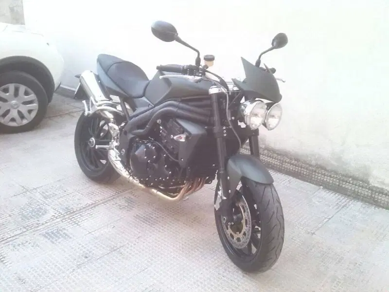 Triumph Speed Triple 1050 (2005 - 11) (2)