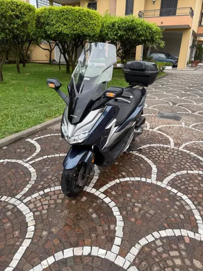 Honda Forza 300 Limited Edition ABS (2020) usata