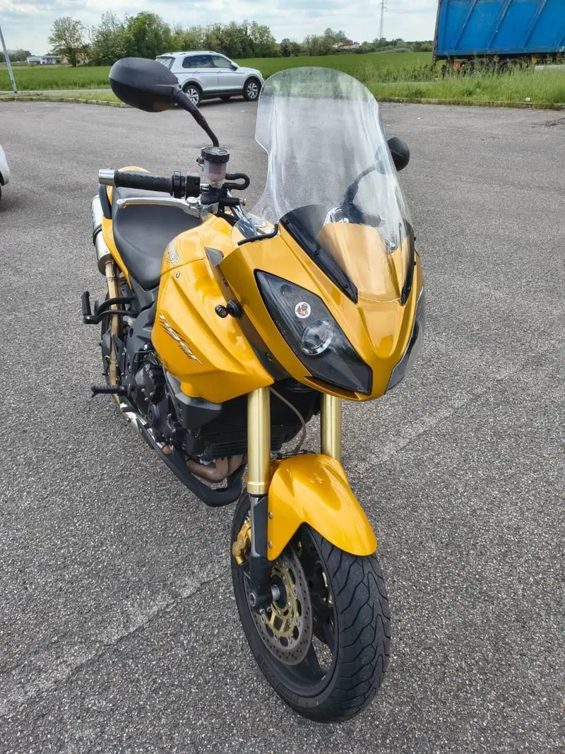 Triumph Tiger 1050 (2006 - 12) (3)