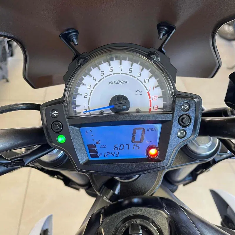 Kawasaki ER-6N (2012 - 13) (2)