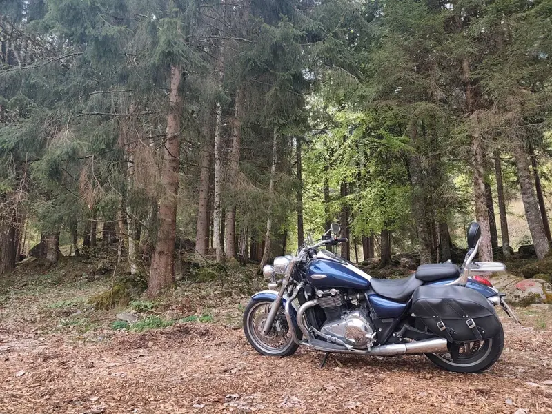 Triumph Thunderbird 1600 SE ABS (2011)