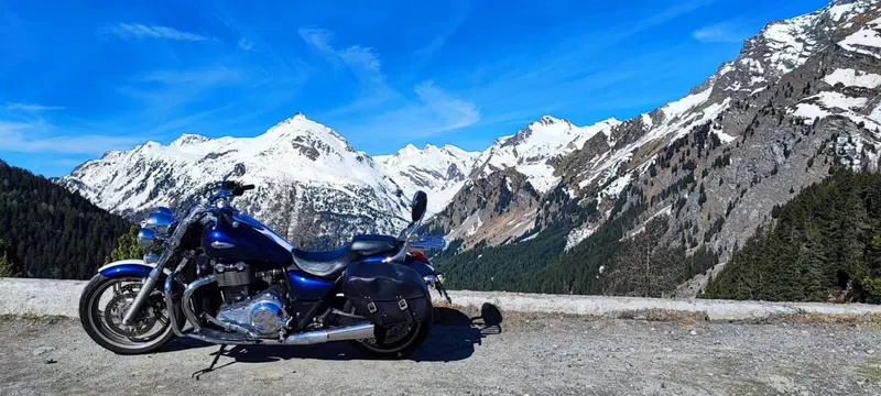 Triumph Thunderbird 1600 SE ABS (2011) (7)
