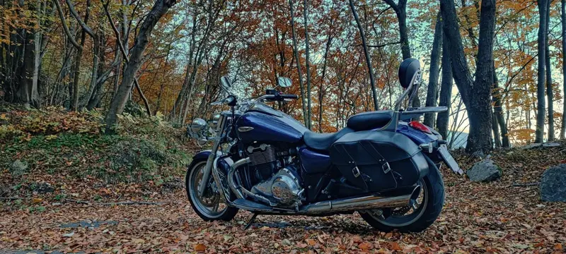 Triumph Thunderbird 1600 SE ABS (2011) (12)