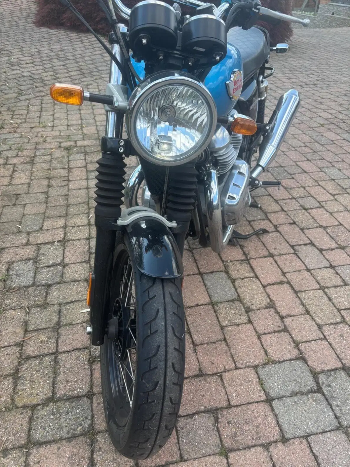 Royal Enfield Interceptor 650 (2021 - 26) (3)