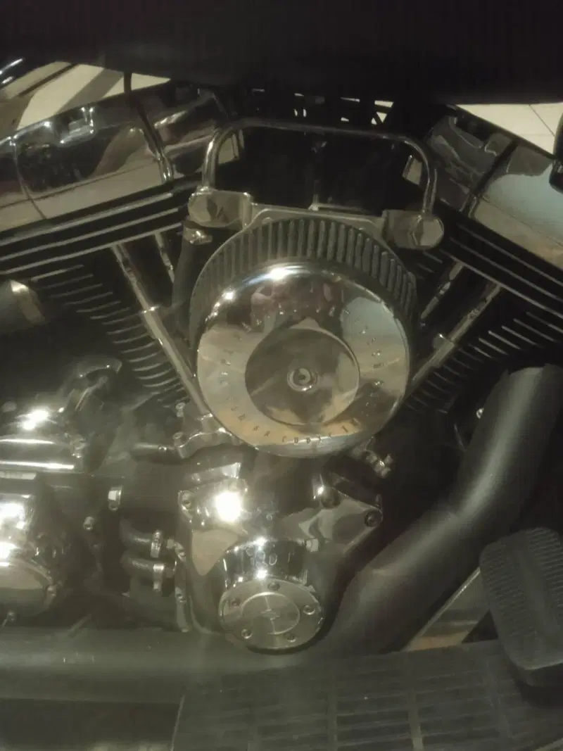 Harley-Davidson 1450 Road Glide (1999 - 06) (6)