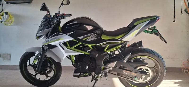 Kawasaki Z 125 Performance (2019 - 20) (2)