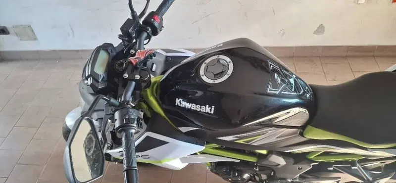 Kawasaki Z 125 Performance (2019 - 20) (3)