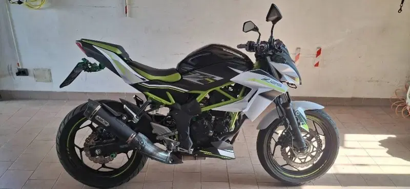 Kawasaki Z 125 Performance (2019 - 20) (7)