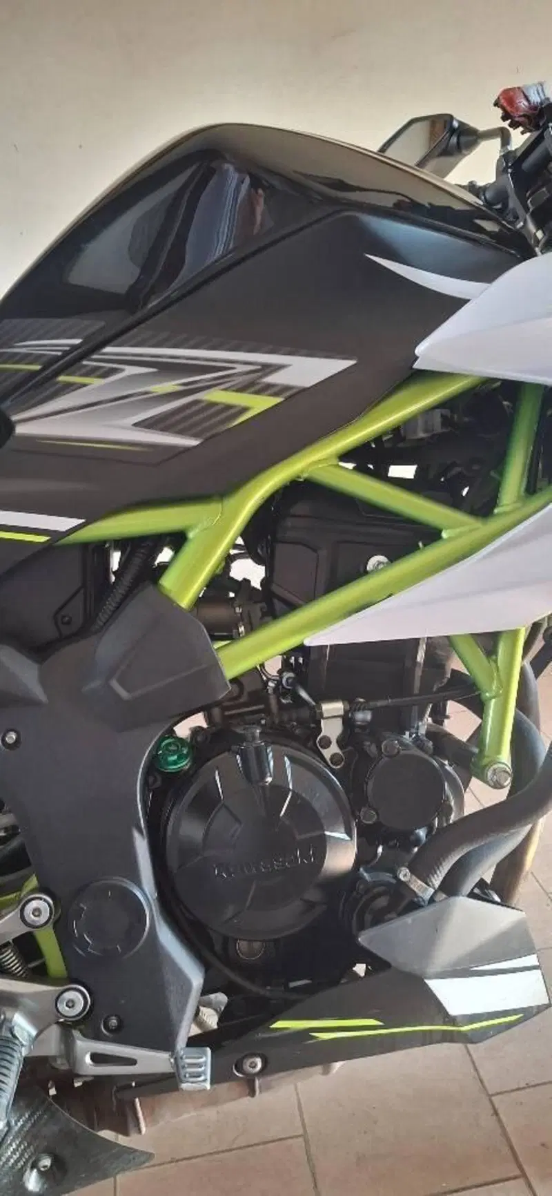 Kawasaki Z 125 Performance (2019 - 20) (12)