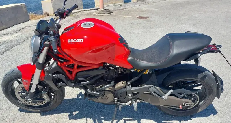 Ducati Monster 821 ABS (2014 - 17) (4)