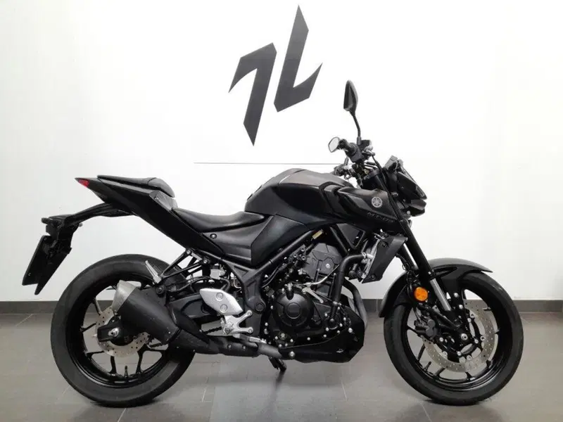 Yamaha MT-03 (2022 - 24) (2)