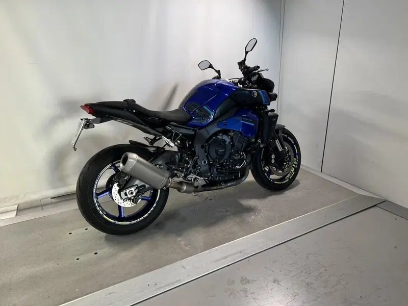 Yamaha MT-10 (2017 - 20) (13)