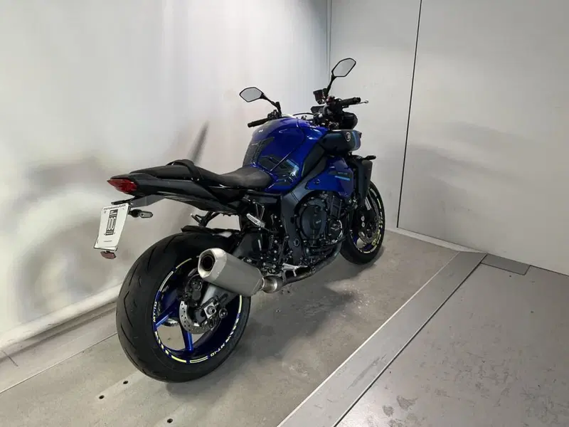 Yamaha MT-10 (2017 - 20) (14)