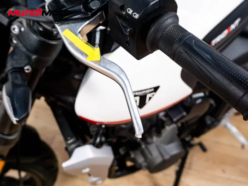 Triumph Trident 660 (2025) (13)