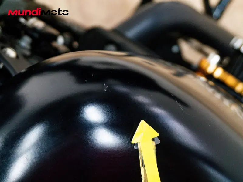 Harley-Davidson 883 Iron (2012 - 14) - XL 883N (21)