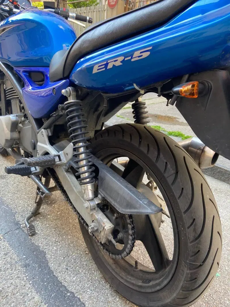 Kawasaki ER-5 500 (2001 - 06) (5)