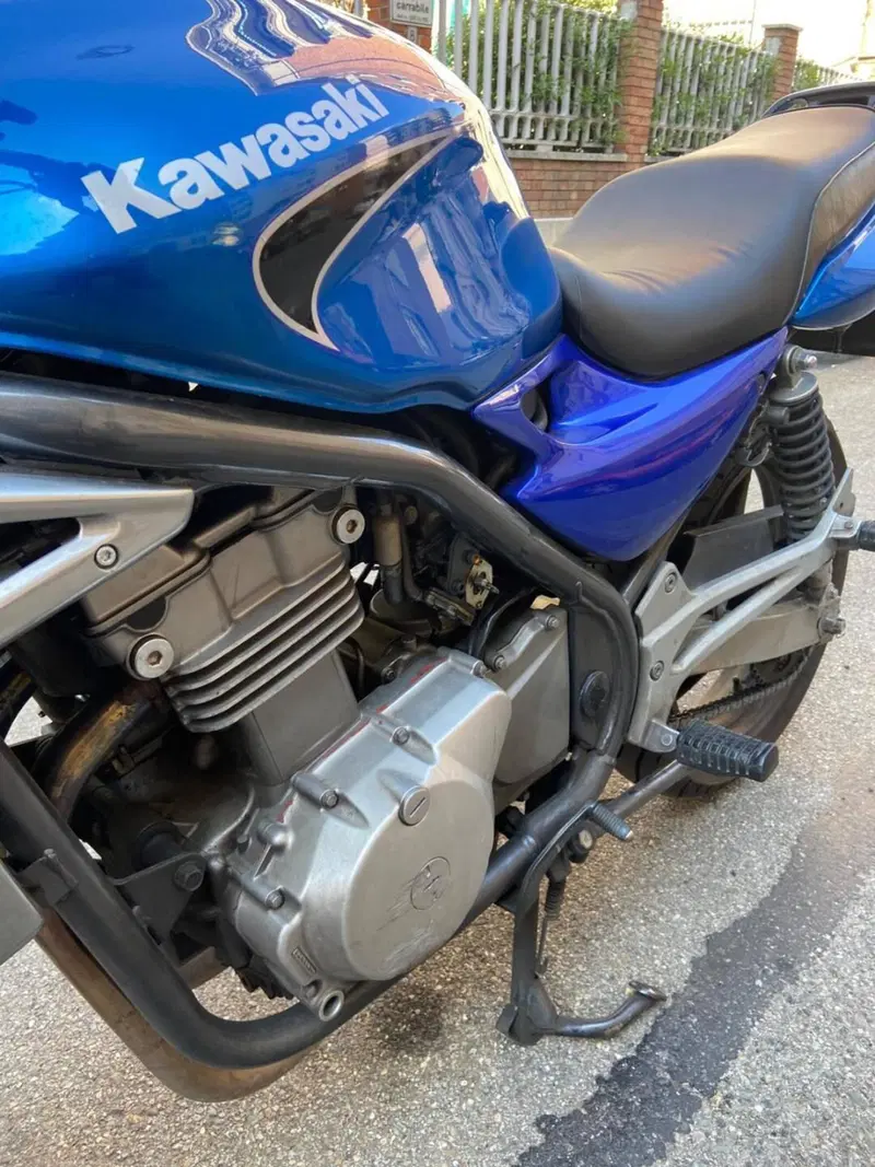 Kawasaki ER-5 500 (2001 - 06) (6)