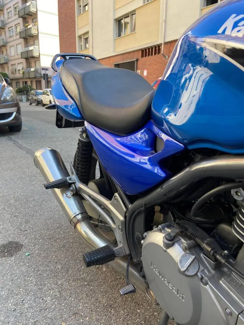 Kawasaki ER-5 500 (2001 - 06) (7)