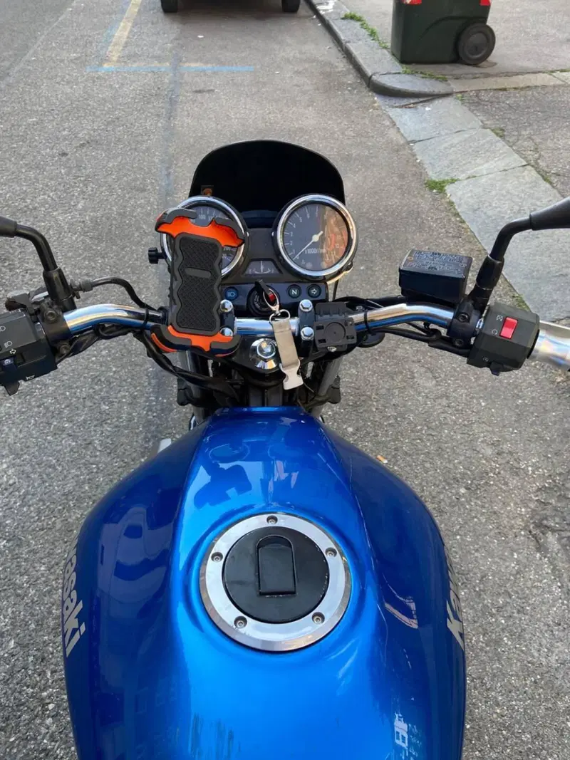 Kawasaki ER-5 500 (2001 - 06) (8)