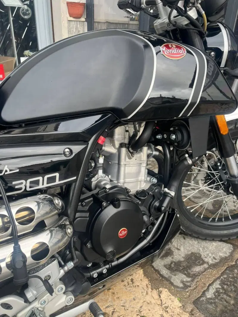 FB Mondial HPS 300 (2020 - 21) (5)